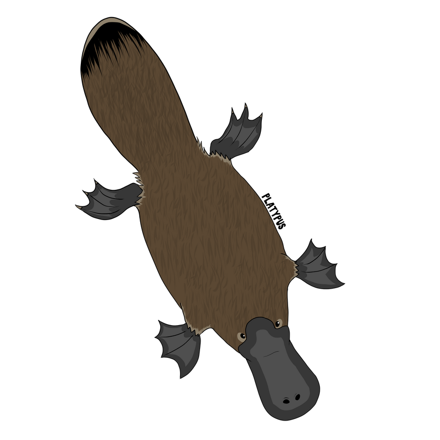 platypus
